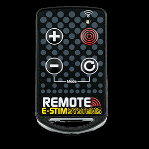 Remote Keyfob Transmitter (New Remote System)